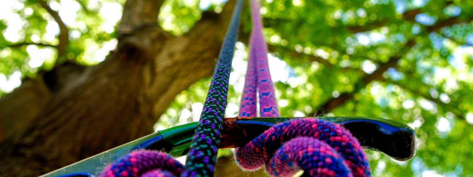 Tree climbing